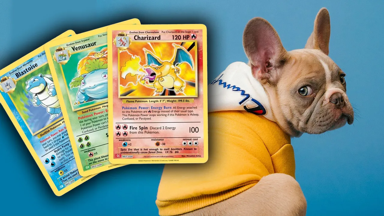 Köpek Üreticileri Pokémon Kartı Karşılığında Yavru Köpek Teklif Ediyor — Oyun Haberleri haberi kapak görseli
